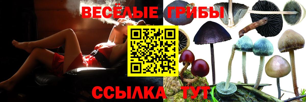 Псилоцибиновые грибы Psilocybe  Вход с VPN  Назарово  Галлюциногенные грибы MAGIC MUSHROOMS 