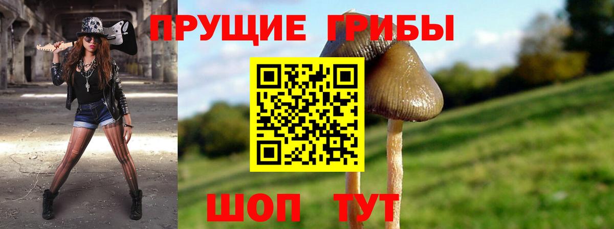 Псилоцибиновые грибы ЛСД Назарово
